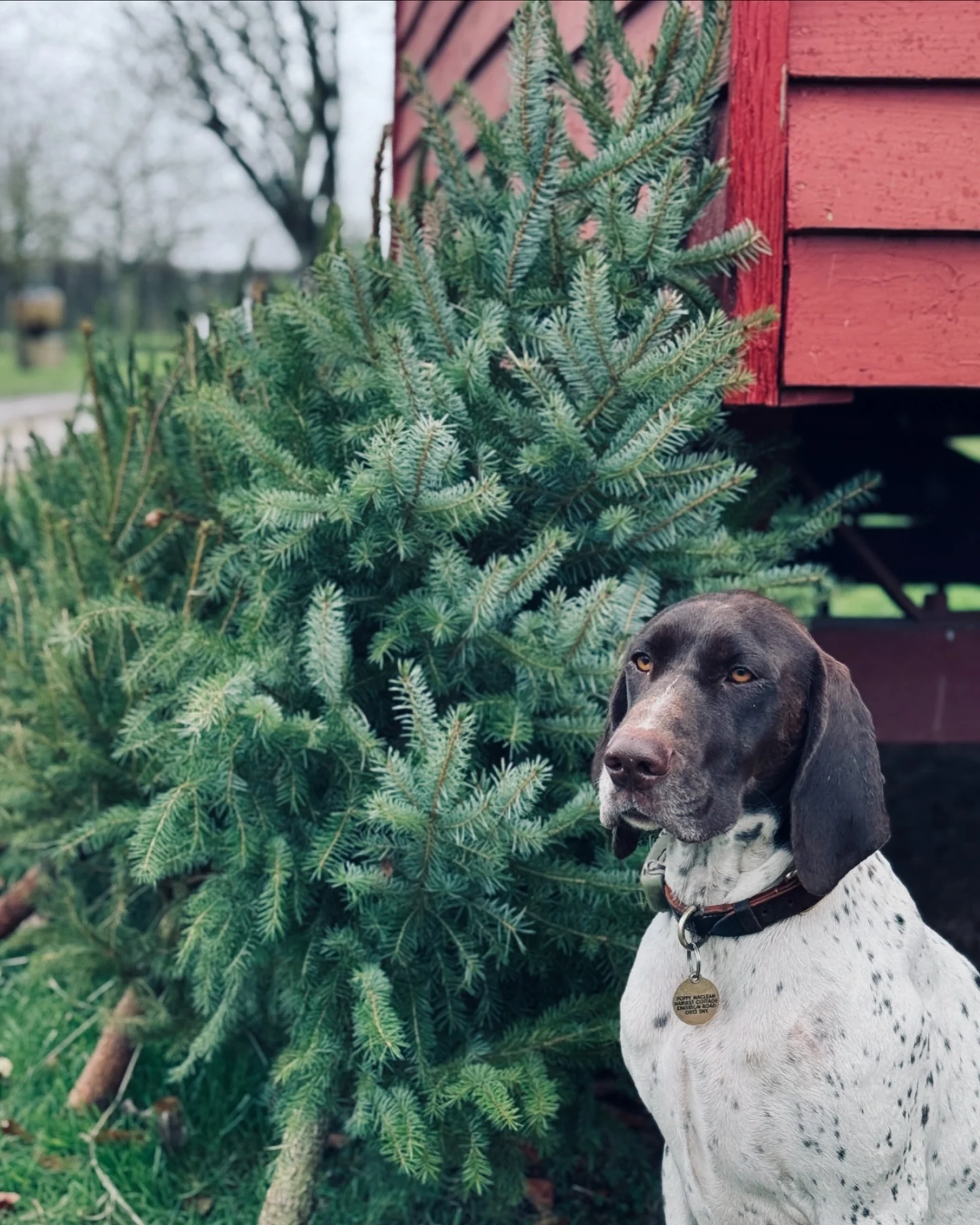 6B457885-1C6C-4883-A051-95666D5DCE8D 2